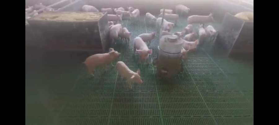 Commercial Property for Sale in Dealesville Free State